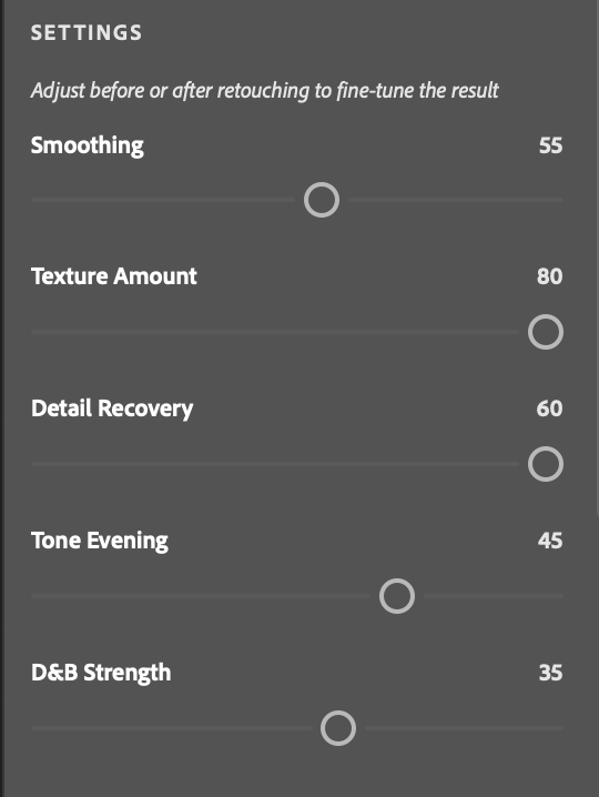 RetouchLab plugin panel