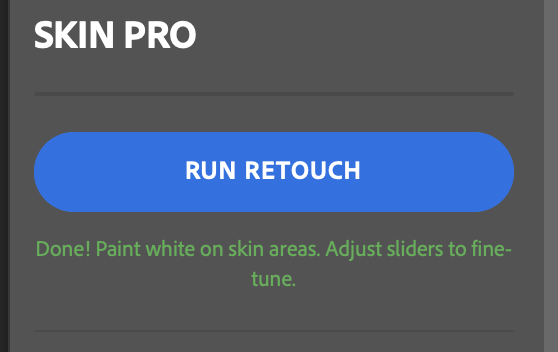 Run Retouch button in RetouchLab